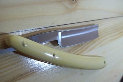 Resize of 101_3806.JPG