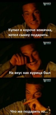 беар8.jpg (29.79 КБ) 54188 просмотров беар8.jpg