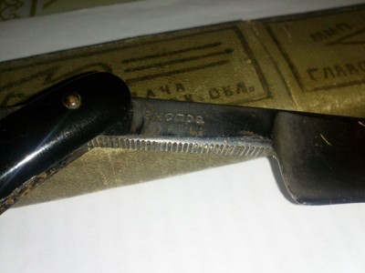 IMG550.jpg