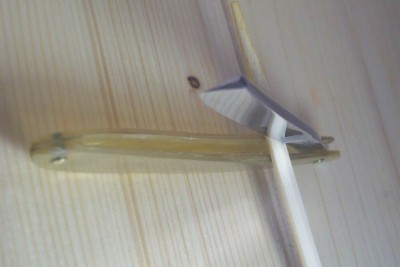 Resize of 101_4134.JPG