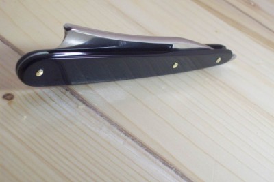 Resize of 101_4154.JPG