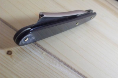 Resize of 101_4156.JPG