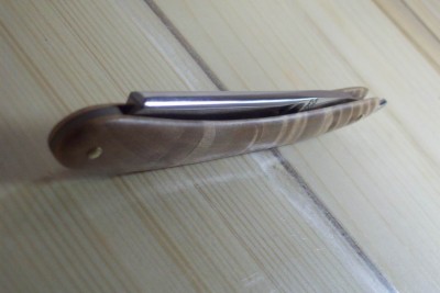 Resize of 101_4363.JPG