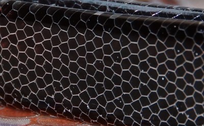 C-Tek4.jpg