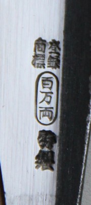 IMG_3657.jpg