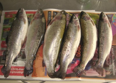 3.jpg (156.23 КБ) 19218 просмотров 3.jpg