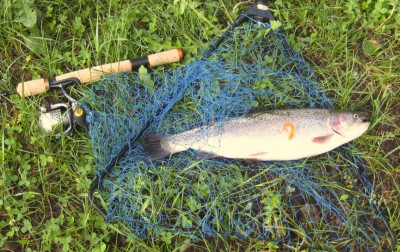 4.jpg (235.22 КБ) 19093 просмотра 4.jpg