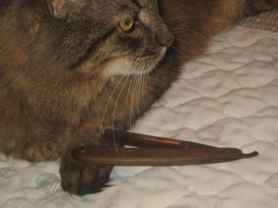 кот.jpg (231.34 КБ) 17354 просмотра кот.jpg