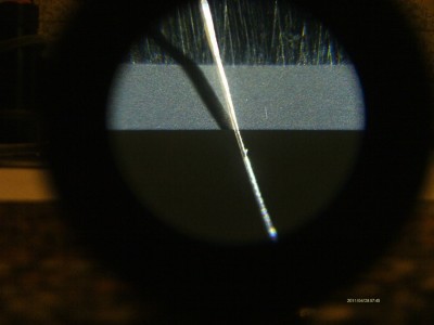 8000_2.JPG (190.9 КБ) 16801 просмотр 8000_2.JPG