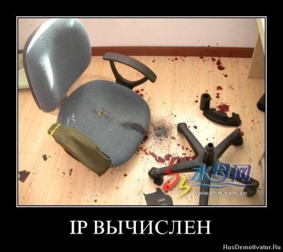1327871243_d9p4n74hecgi.jpg