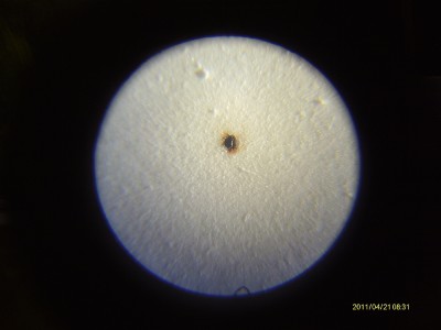sized_IMAG0760.JPG