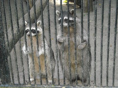 DSCN0197.JPG (174.7 КБ) 38060 просмотров DSCN0197.JPG