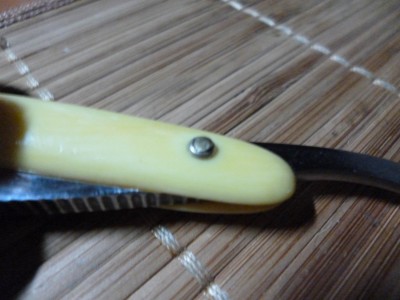 P1000483.JPG