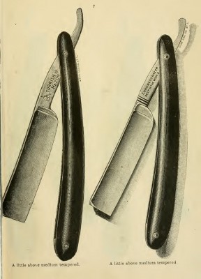 11-a5b68155eb.jpg