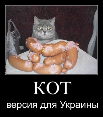 0364153q2.jpg