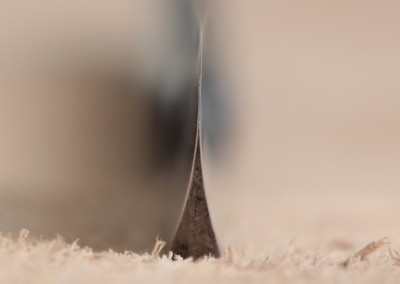 IMG_0683.JPG (160.37 КБ) 20314 просмотров IMG_0683.JPG