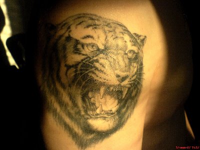 DSC00281.JPG (229.2 КБ) 25521 просмотр DSC00281.JPG