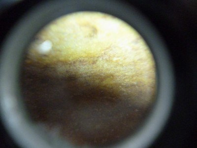 P1000579.JPG