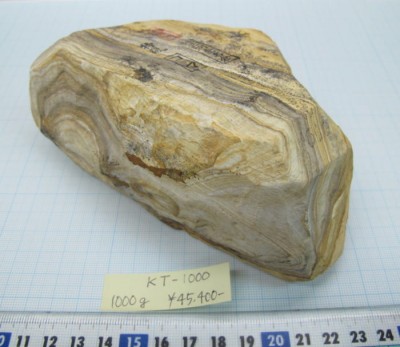 0927kt-1000.jpg