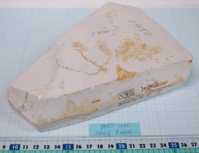 ботан.jpg (33.05 КБ) 19884 просмотра ботан.jpg