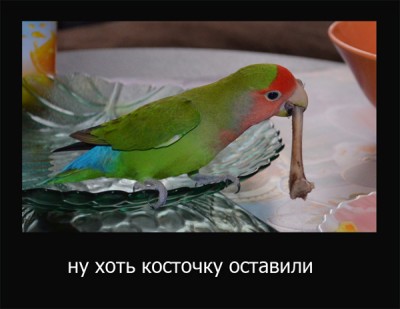 пончо.jpg (183.03 КБ) 14173 просмотра пончо.jpg