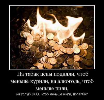 9lYF4c42r9s8_1774003_PL.jpg
