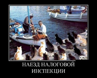 r3kk1SkNEi2N_1774008_PL.jpg