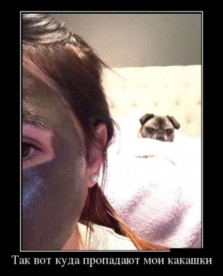 1387942971_1-1.jpg (45.47 КБ) 14009 просмотров 1387942971_1-1.jpg