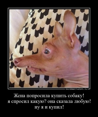 1389208222_Zhena-poprosila-kupi_bestdemotivators.ru.jpg (113.31 КБ) 14002 просмотра 1389208222_Zhena-poprosila-kupi_bestdemotivators.ru.jpg