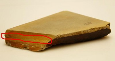 400986595.jpg