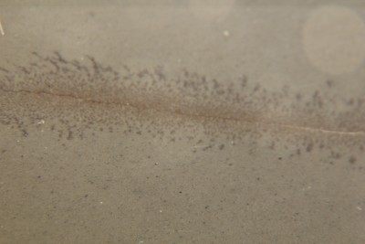 IMG_4781.jpg (241.71 КБ) 38431 просмотр IMG_4781.jpg