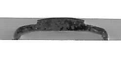 Scannen0005.jpg