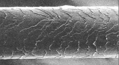stroenie-volosa-ego-struktura.jpg (17.35 КБ) 37954 просмотра stroenie-volosa-ego-struktura.jpg