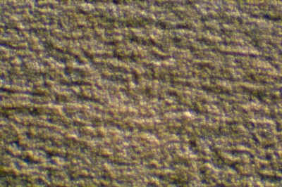 DSC07006.jpg