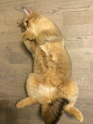 image.jpg (149.64 КБ) 11930 просмотров image.jpg