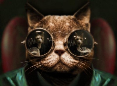 4132-morpheus-cat-facts.jpg