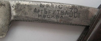 10491203.jpg