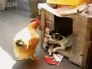 post-398241-1266566085.gif