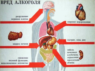 вред алкоголя 2.jpg