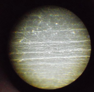 DSCN0302.JPG