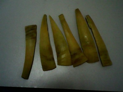 IMG0266A.jpg