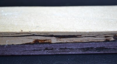 DSC_1015.JPG