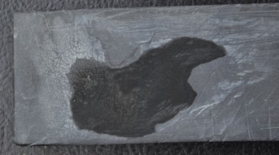 DSC_1073.JPG