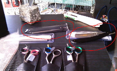 odiso3.jpg