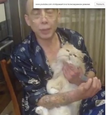 катишка....jpg (100.98 КБ) 11422 просмотра катишка....jpg