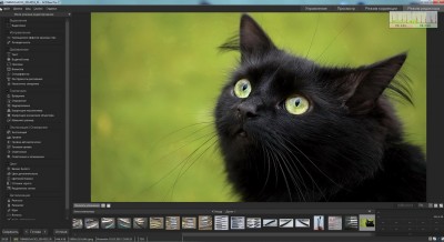 Снимок12.jpg (248.16 КБ) 16554 просмотра Снимок12.jpg