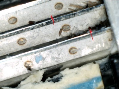 границы заточки.jpg (134.91 КБ) 19659 просмотров границы заточки.jpg