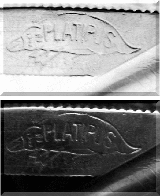Platypus.gif (67.14 КБ) 8363 просмотра Platypus.gif