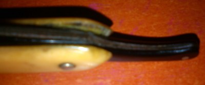 IMG_220633.jpg