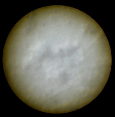 DSCN0320.JPG